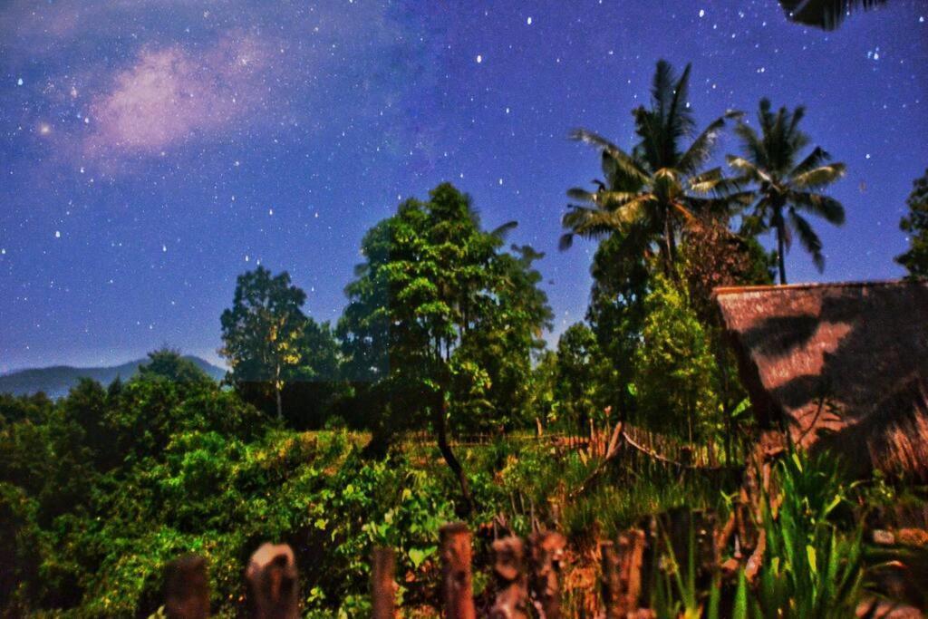 Eco Hut By Valley And 7 Waterfalls Villa Ambengan Buitenkant foto